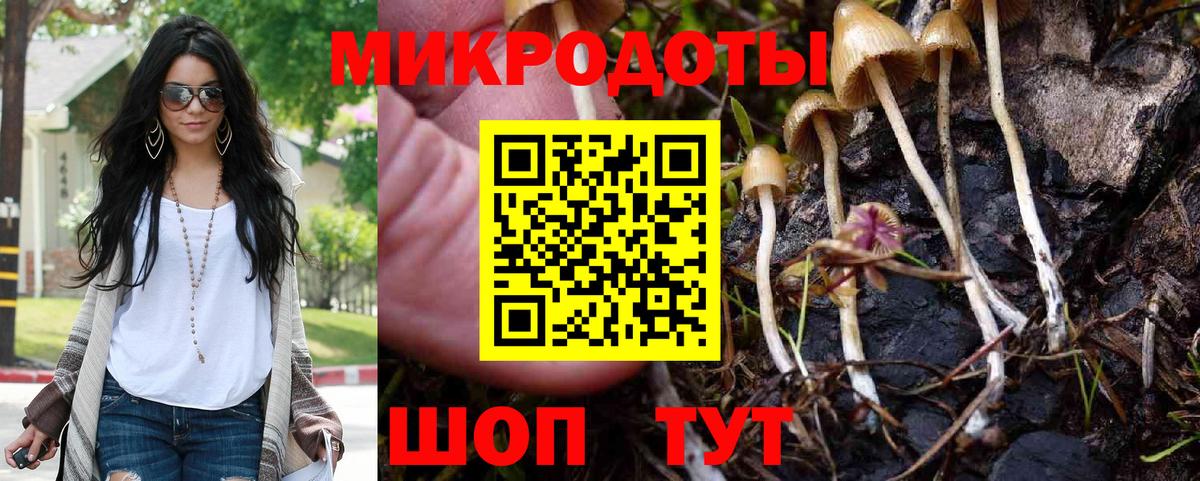 Галлюциногенные грибы ЛСД  Псилоцибиновые грибы Magic Shrooms  купить  цена  Скопин  Вход с VPN 