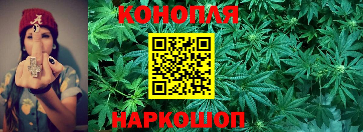 МАРИХУАНА план Скопин